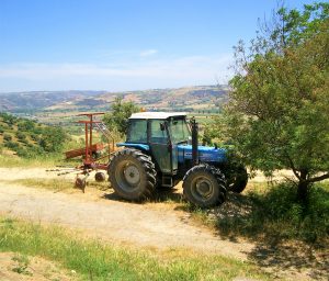 #Traktor#Olivenhain#Olivenbaum